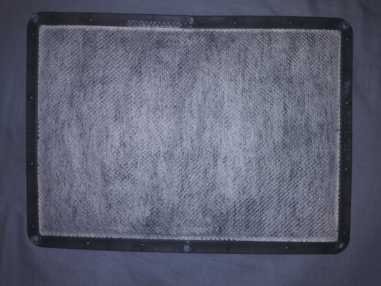 20190728_113640.jpg