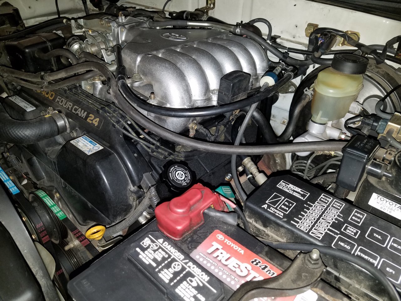 20190728_113759.jpg
