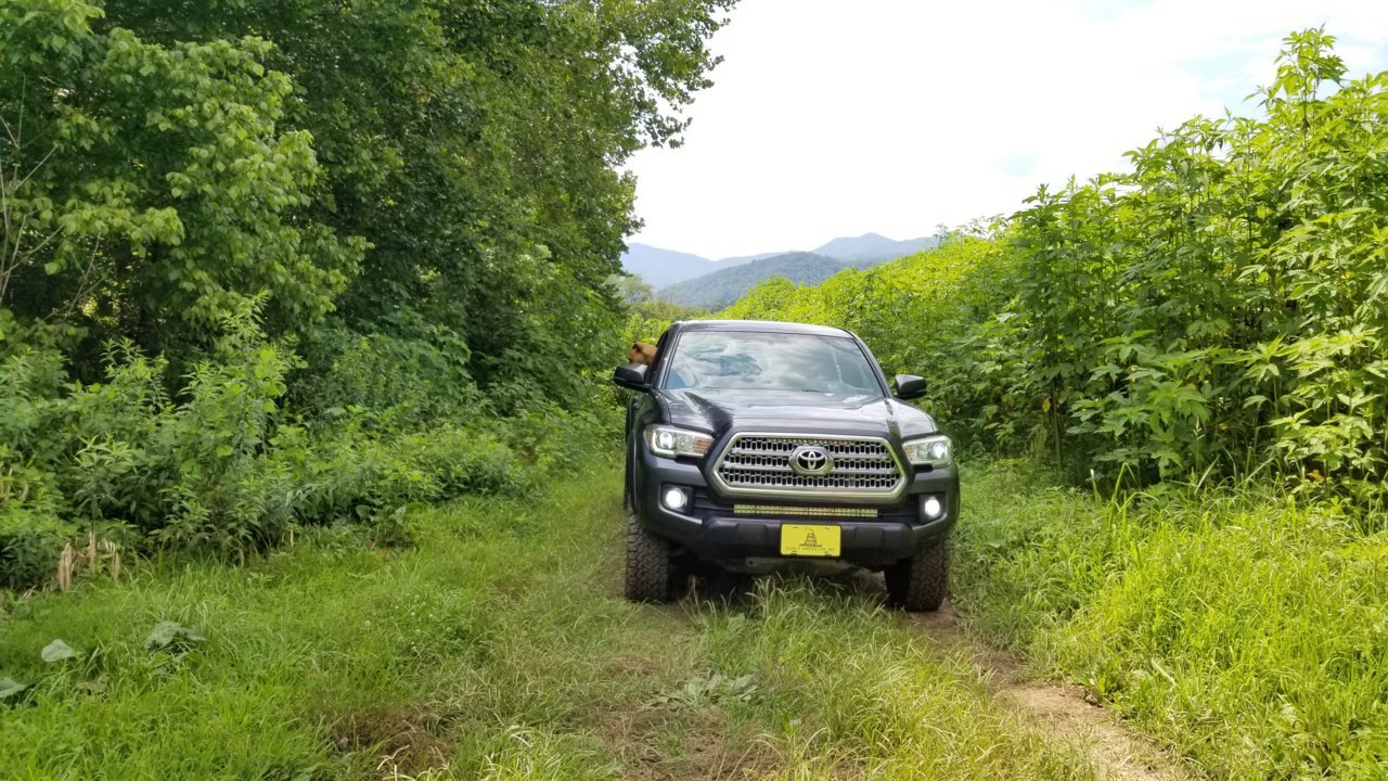20190728_154623.jpg