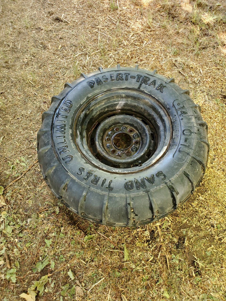 20190728_164602.jpg