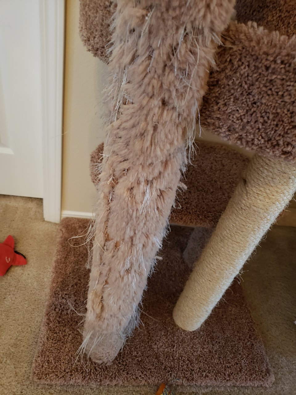 20190728_165423.jpg