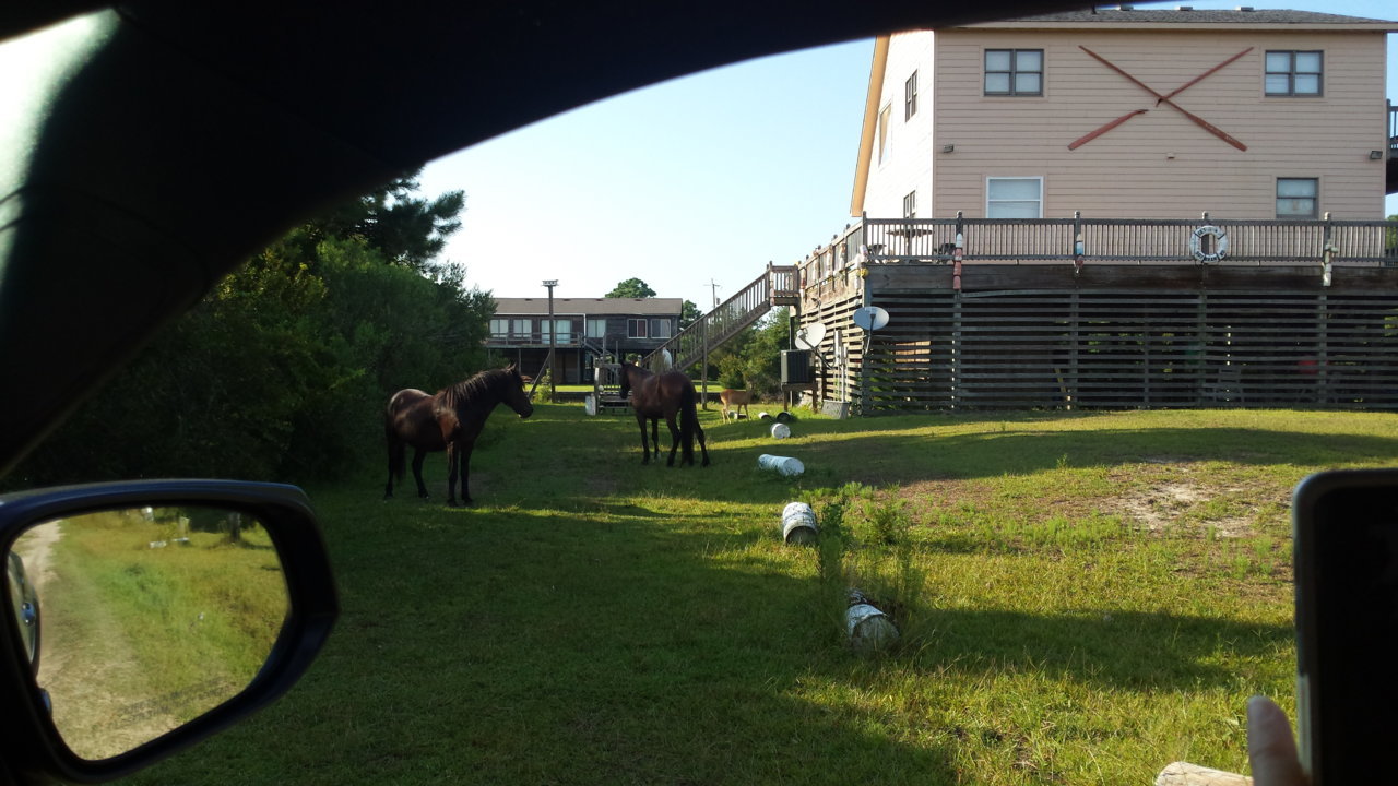 20190728_175730.jpg