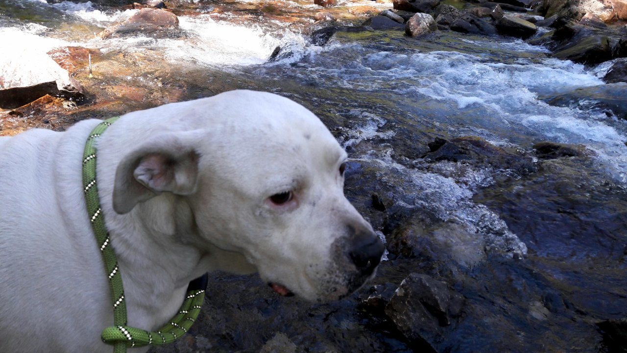 20190728_194321.jpg