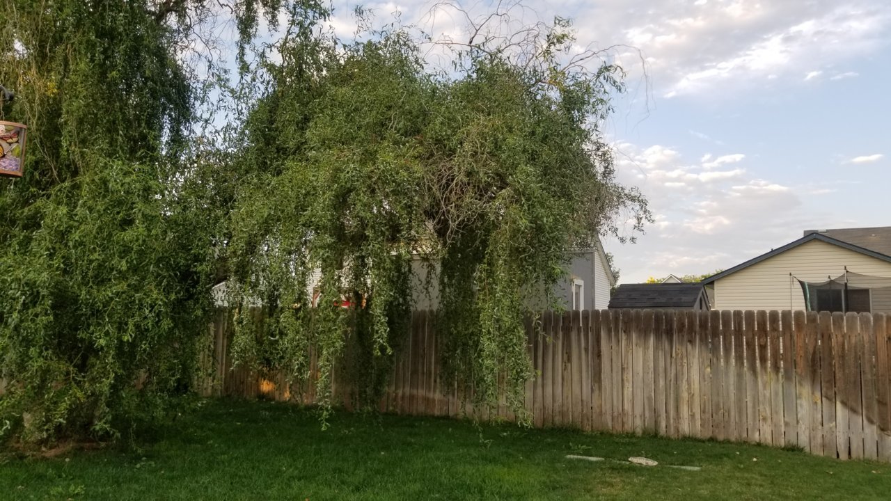 20190728_202356.jpg