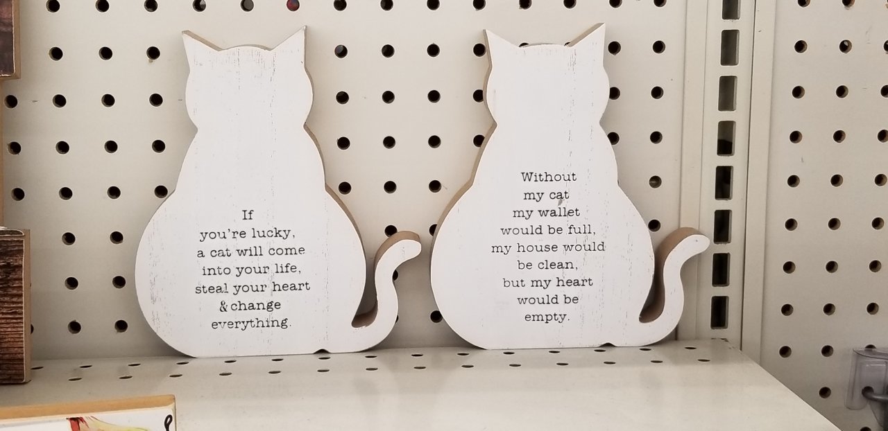 20190729_084539.jpg