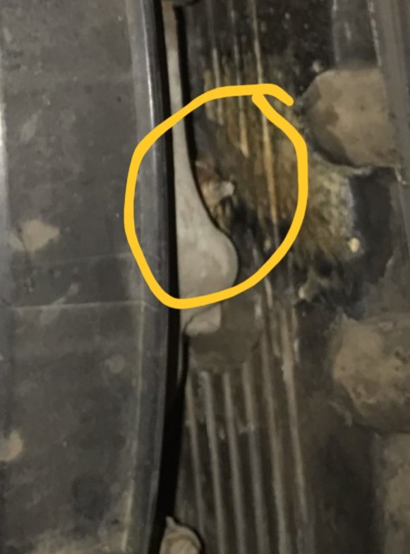 20190729_160330.jpg