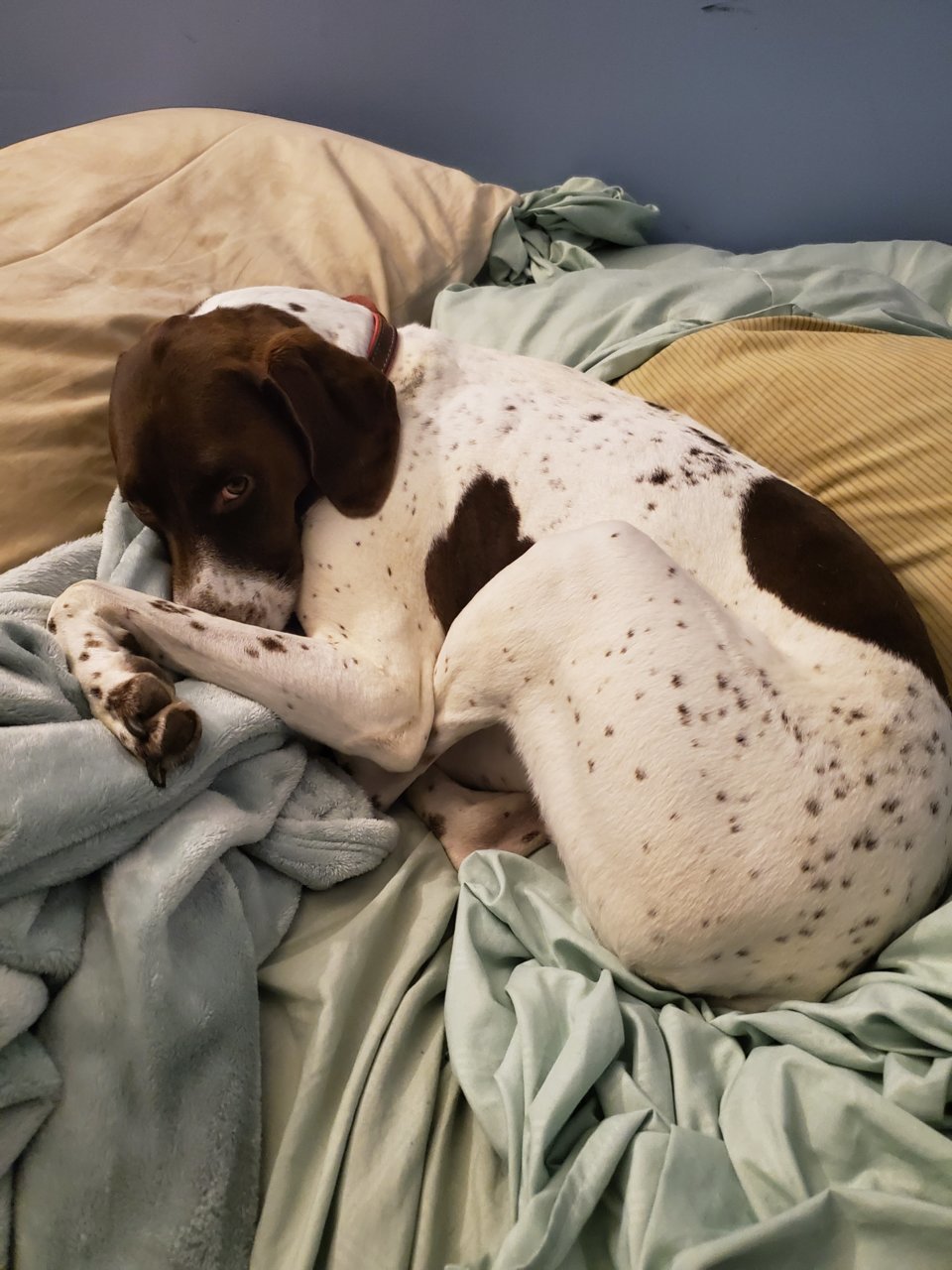 20190729_210918.jpg