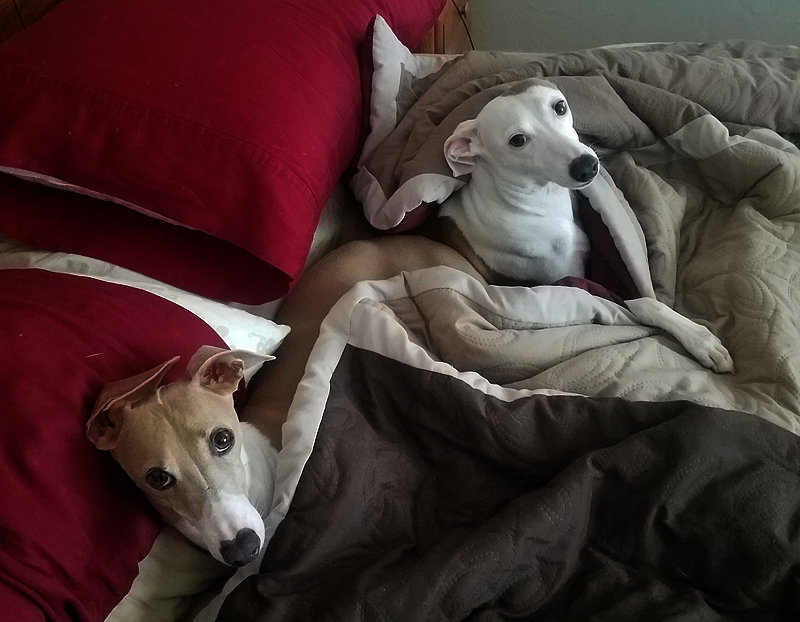 20190730_095031.jpg