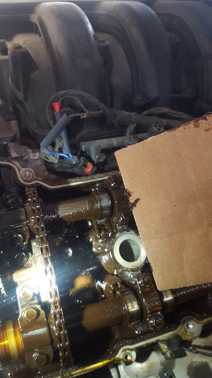 20190730_141321.jpg