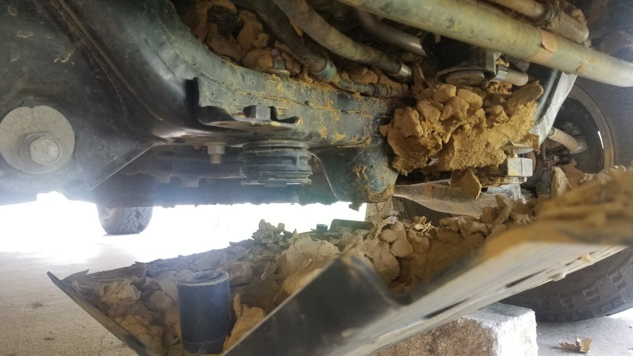 20190731_100201.jpg