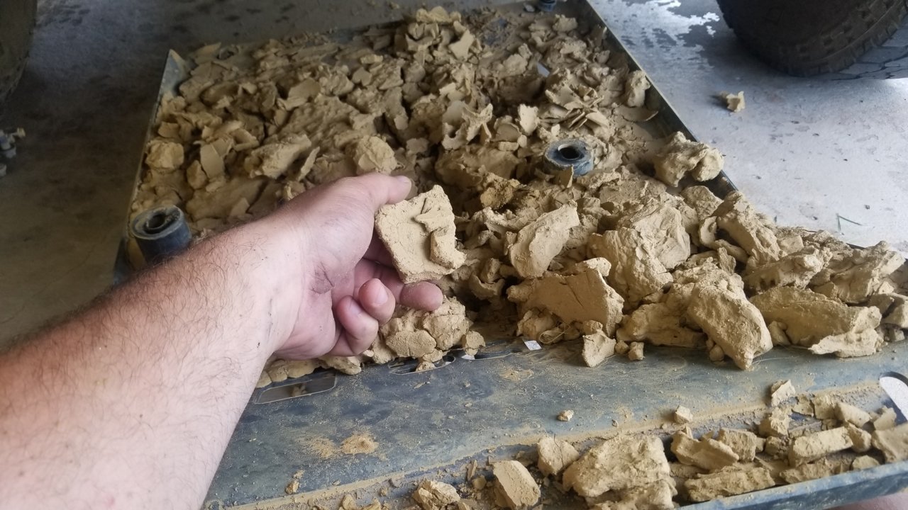 20190731_100332.jpg