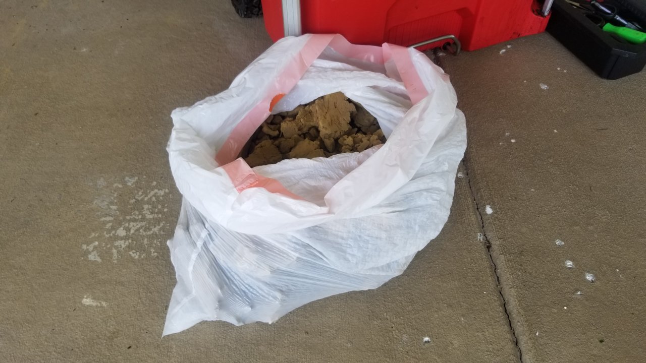 20190731_102529.jpg