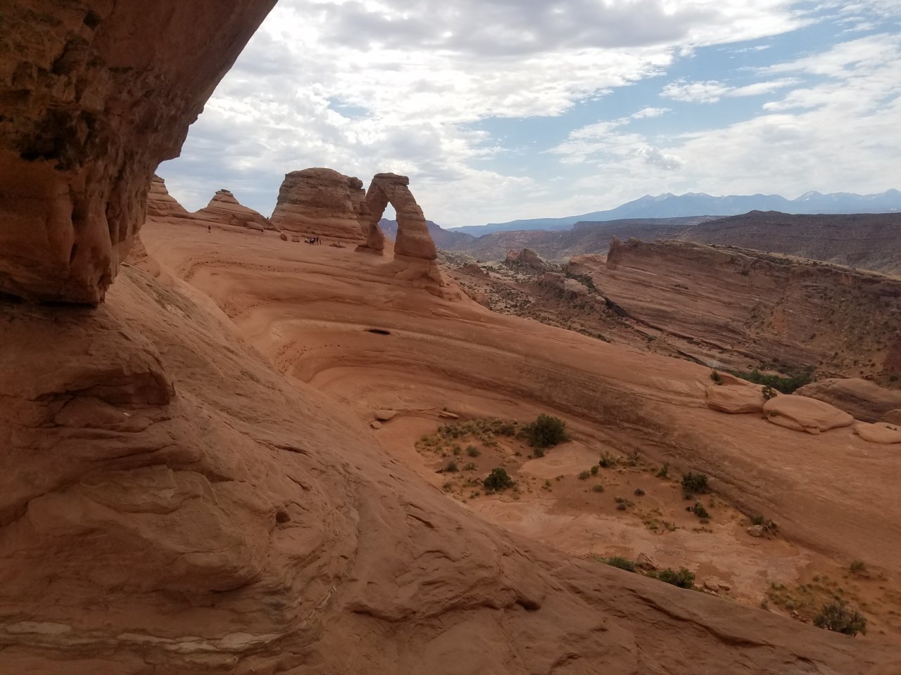 20190731_112014.jpg