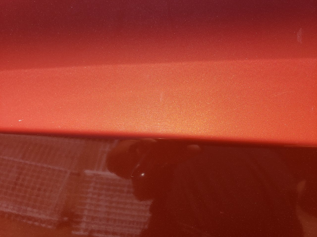 20190731_120839.jpg