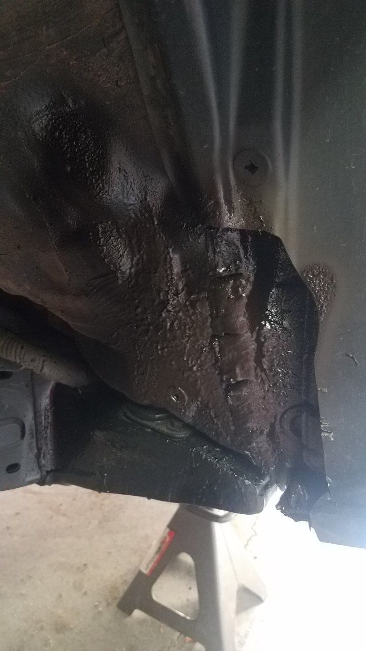 20190731_121904.jpg