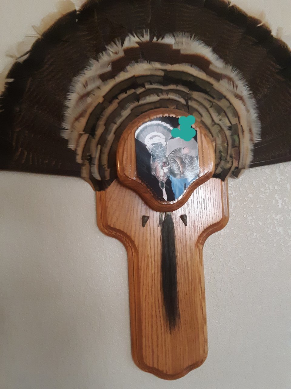 20190731_172453.jpg