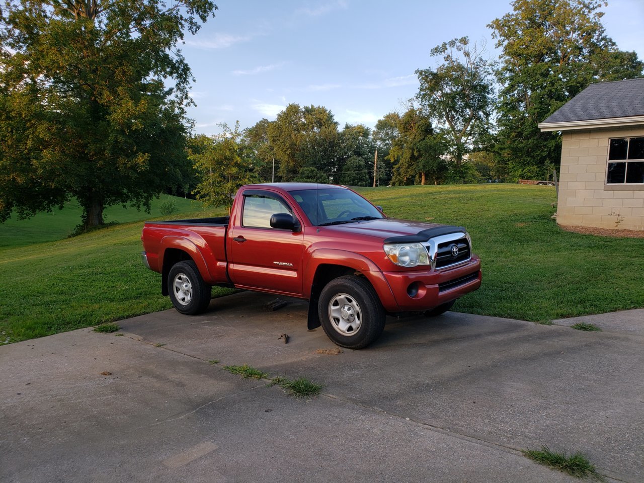 20190731_193826.jpg