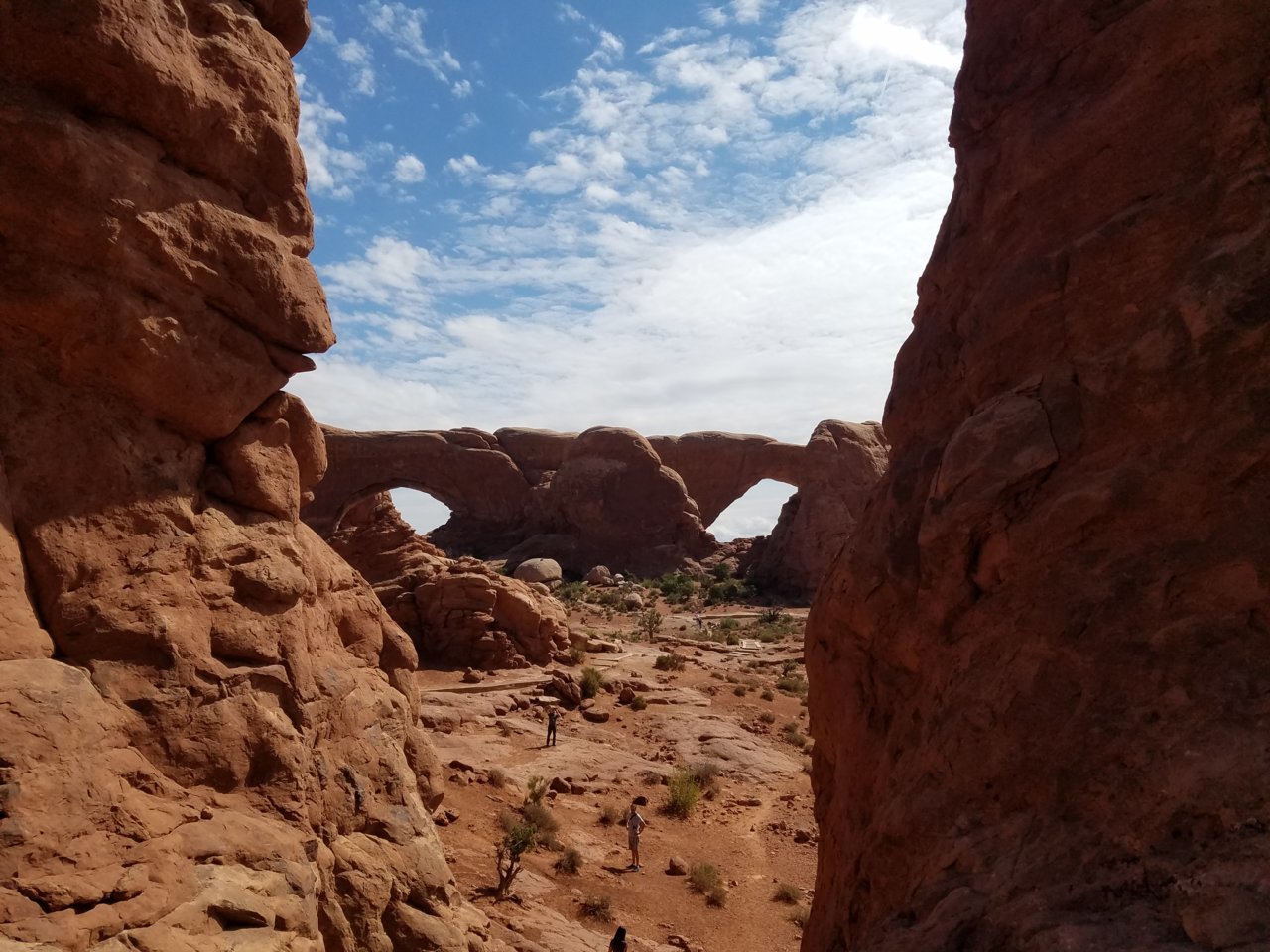 20190801_104557.jpg