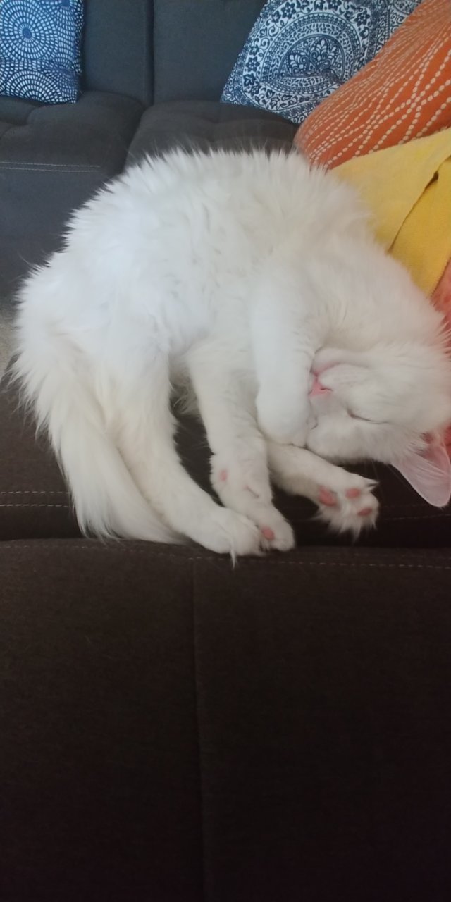 20190801_141444.jpg