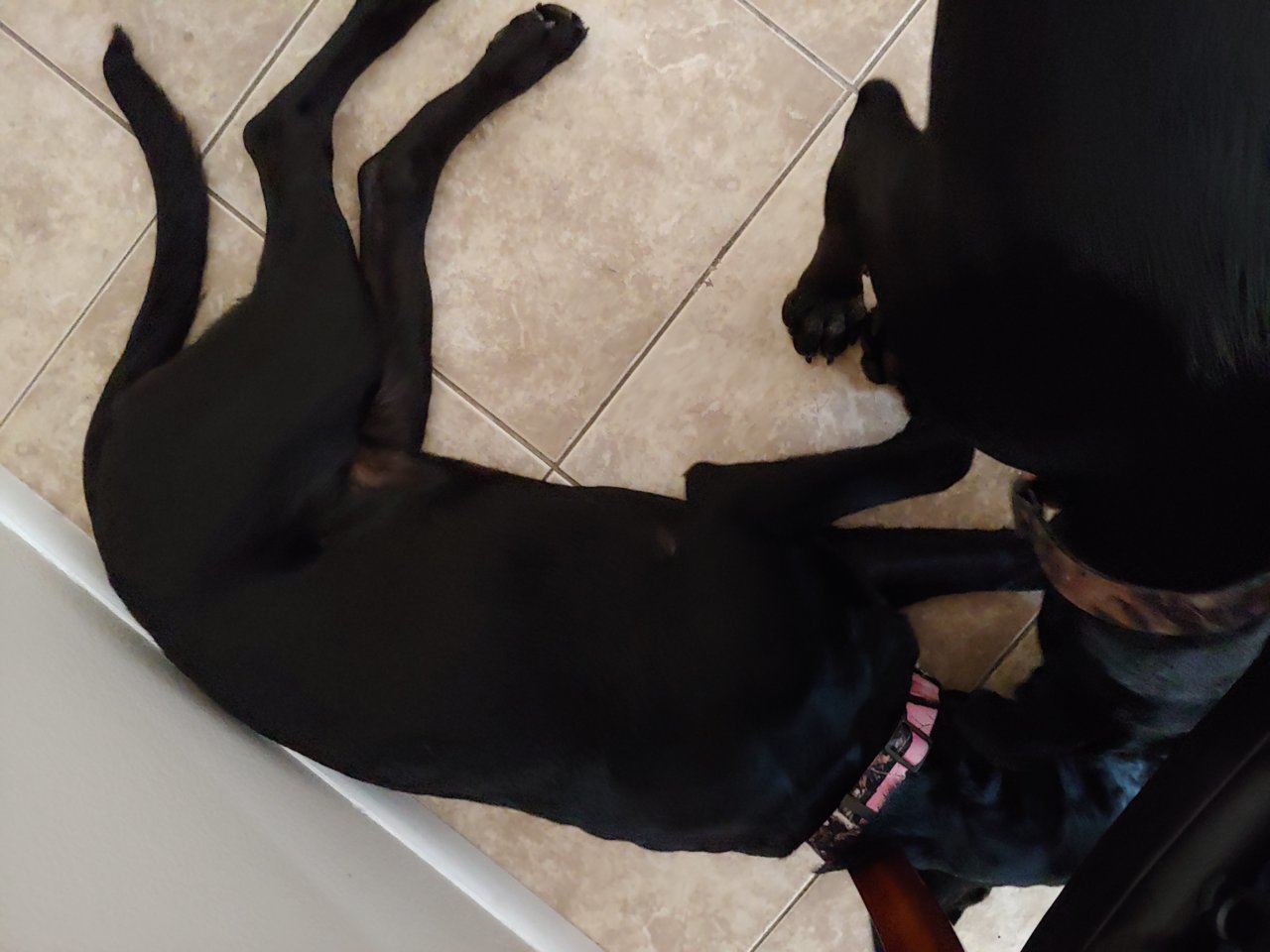 20190801_155534.jpg