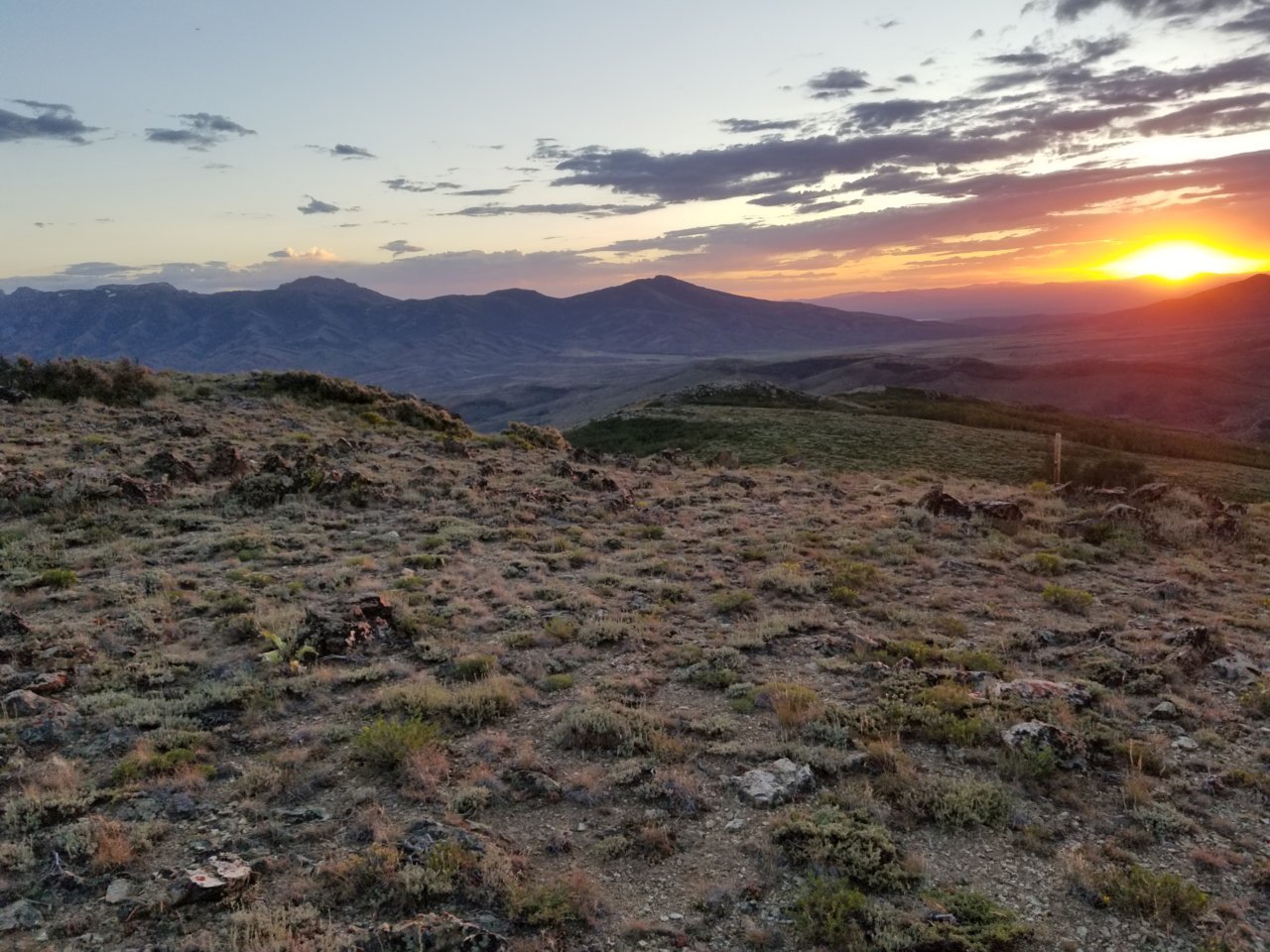 20190801_195426.jpg
