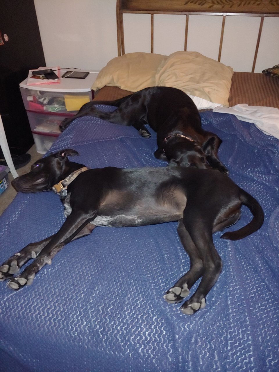 20190802_010029.jpg