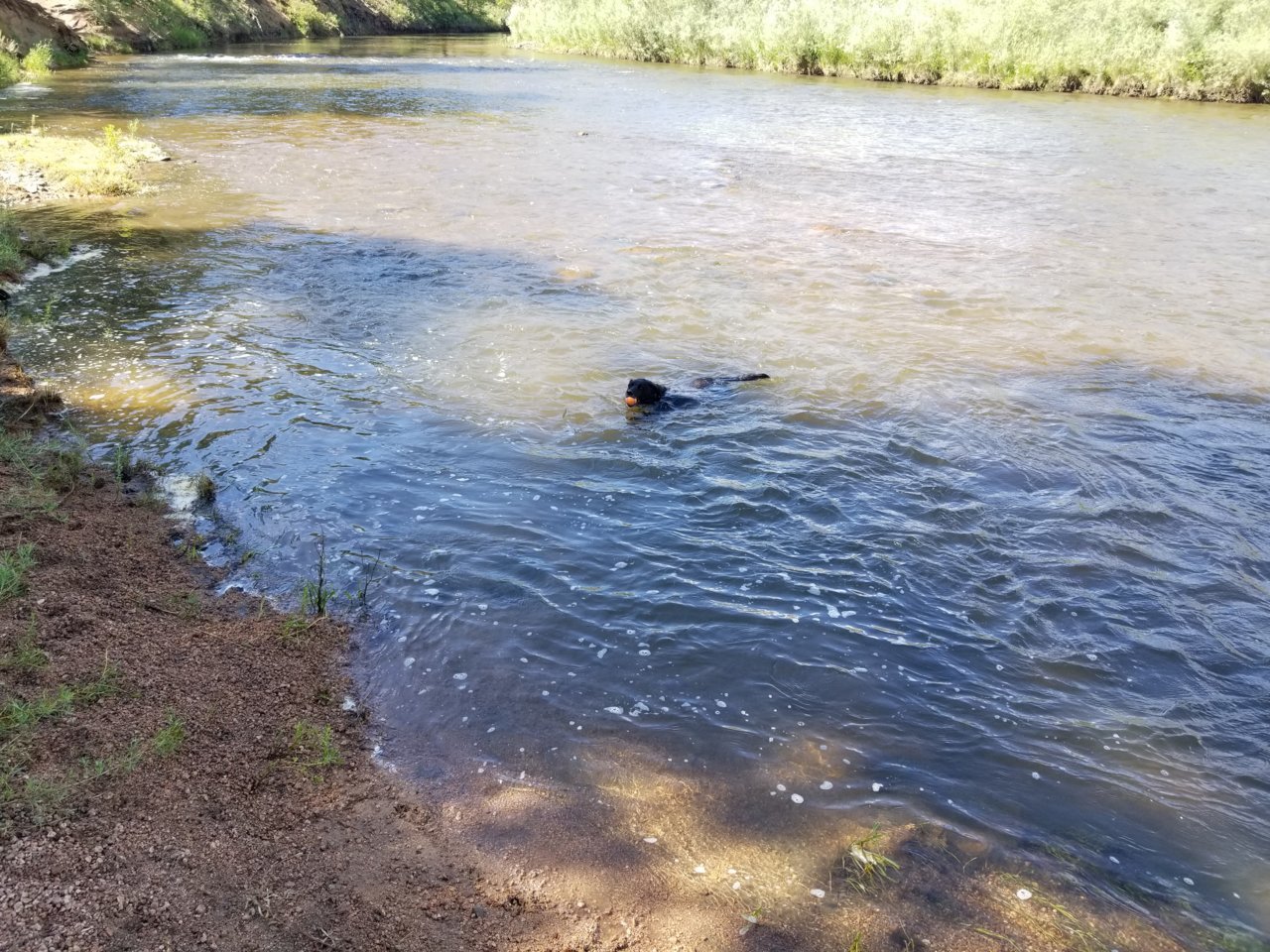 20190802_102646.jpg