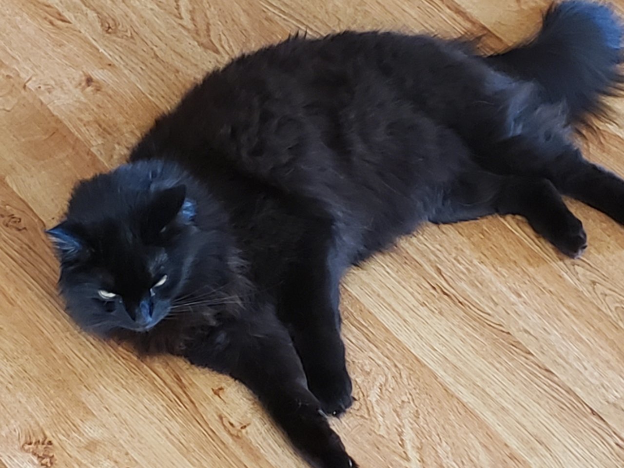 20190802_174814.jpg