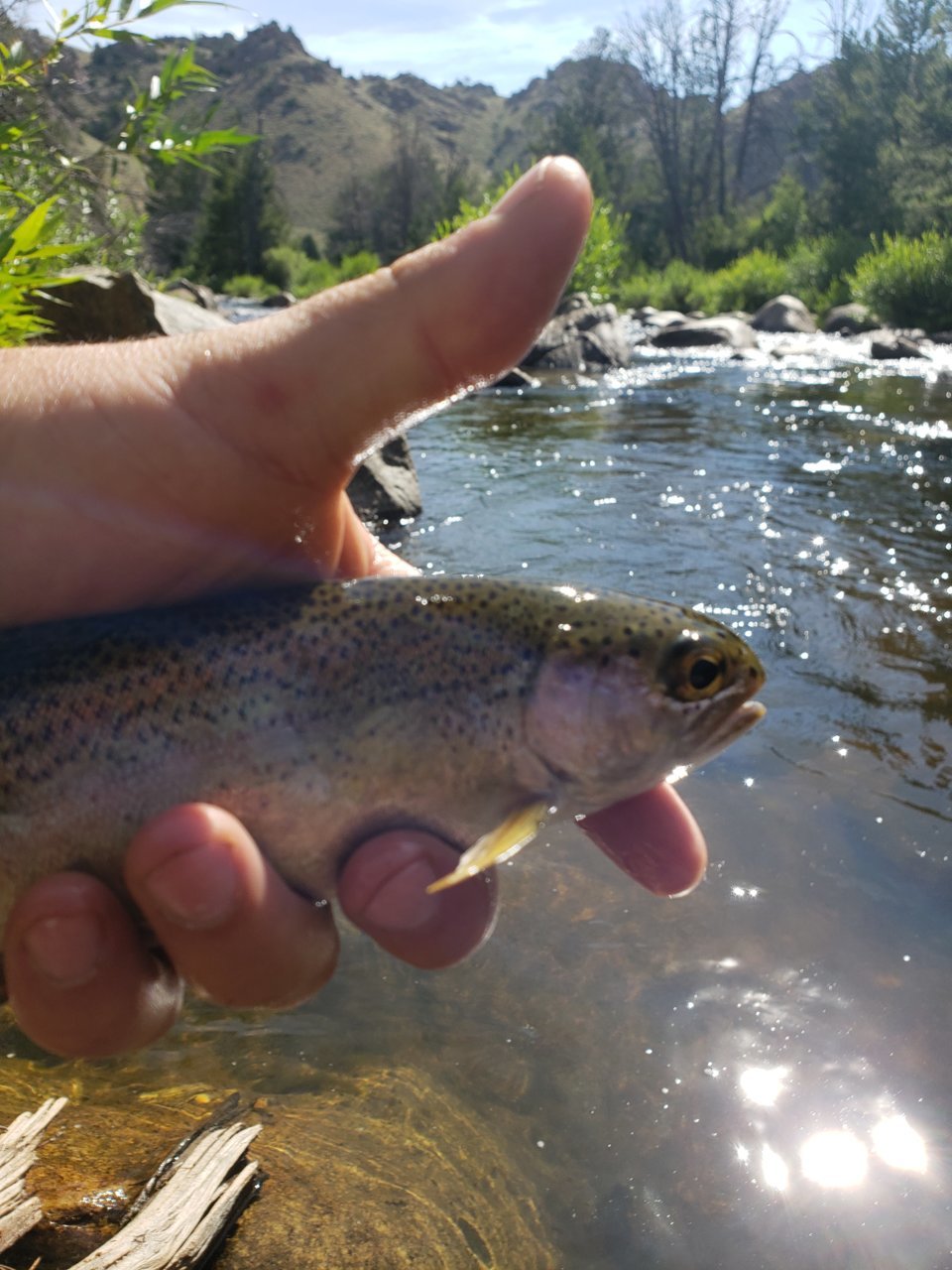 20190803_100823.jpg
