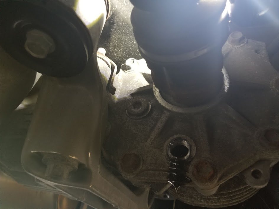20190803_103859.jpg