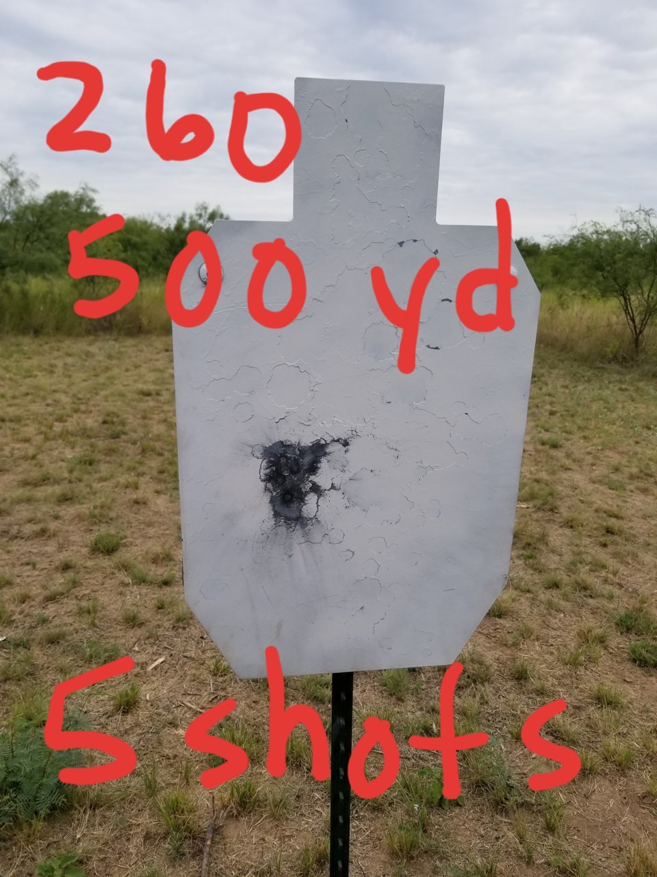20190803_112313.jpg