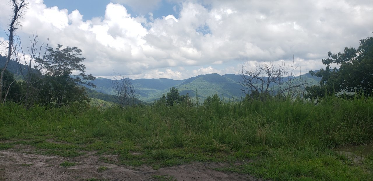 20190803_115207.jpg