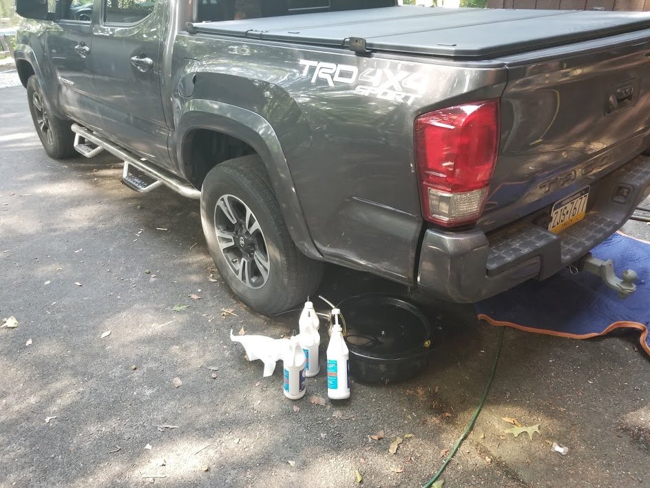 20190803_161648.jpg