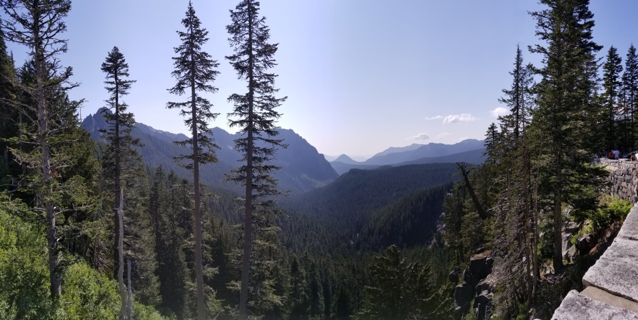 20190803_161819.jpg