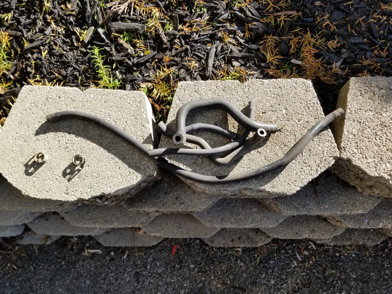 20190803_183522.jpg