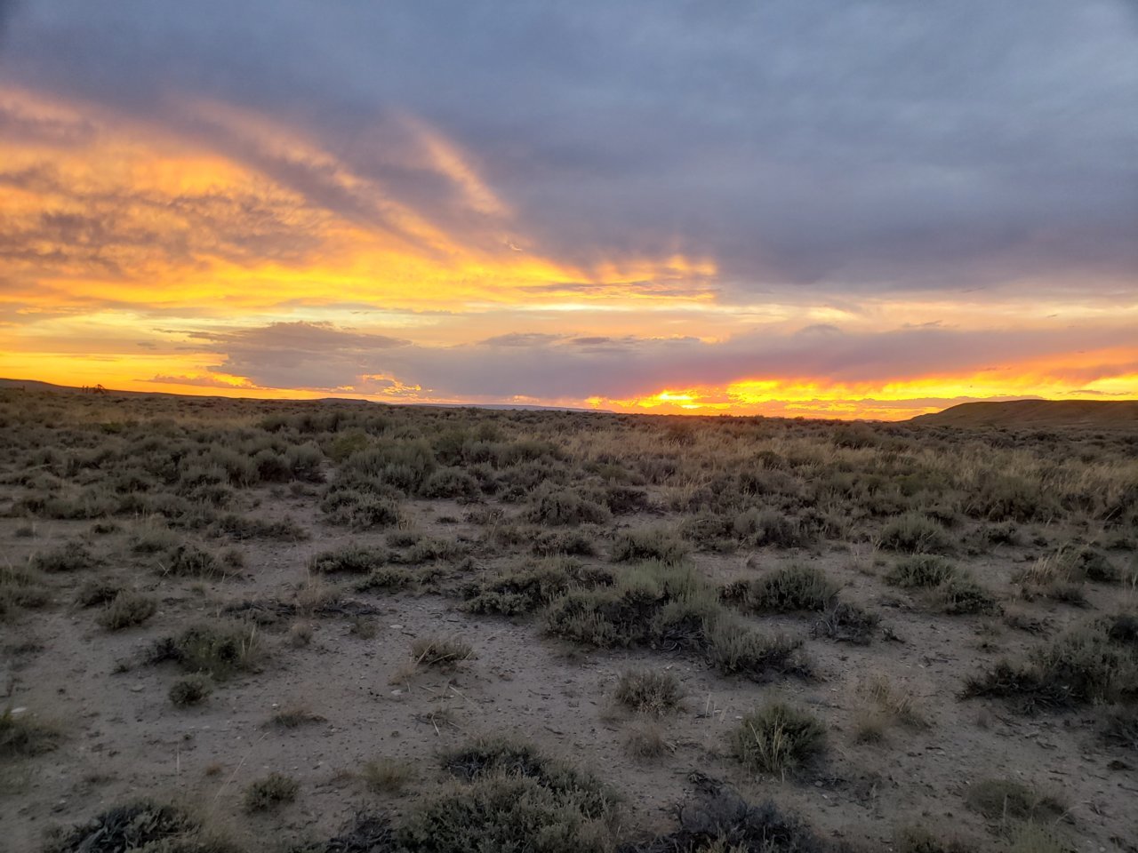 20190803_203352.jpg
