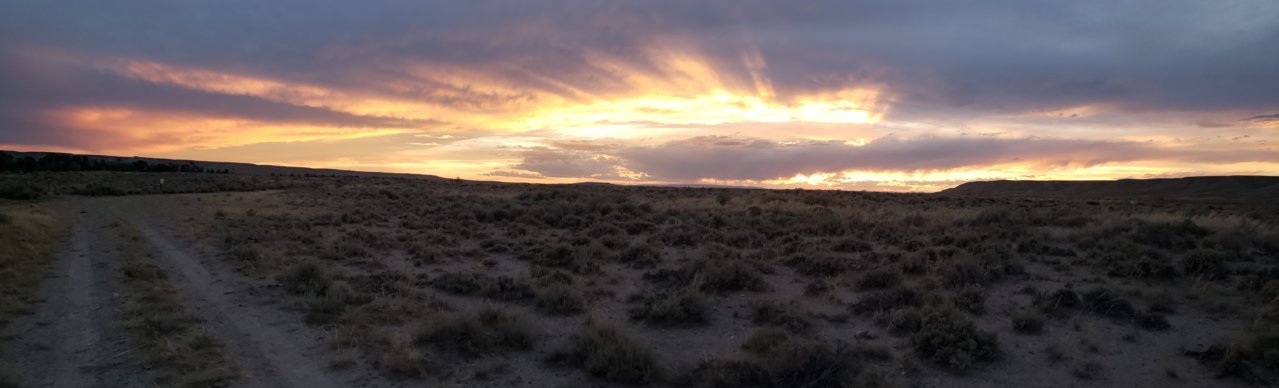 20190803_203757.jpg