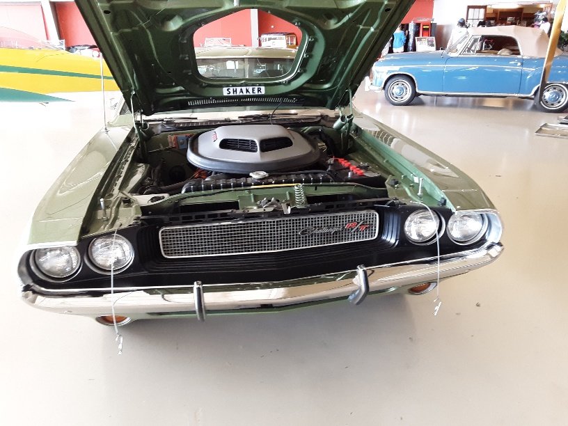 20190804_122319_resized.jpg