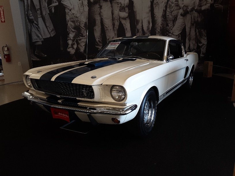 20190804_122638_resized.jpg