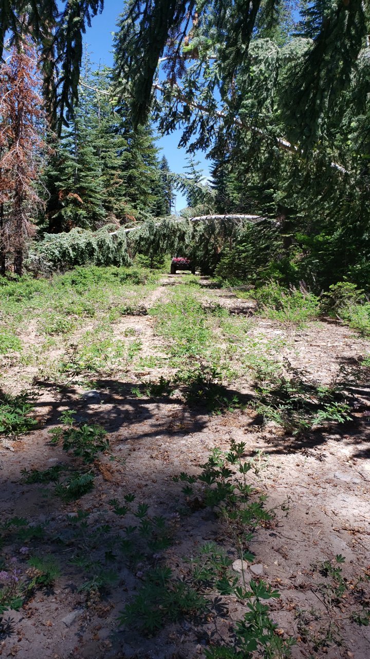 20190804_125409.jpg