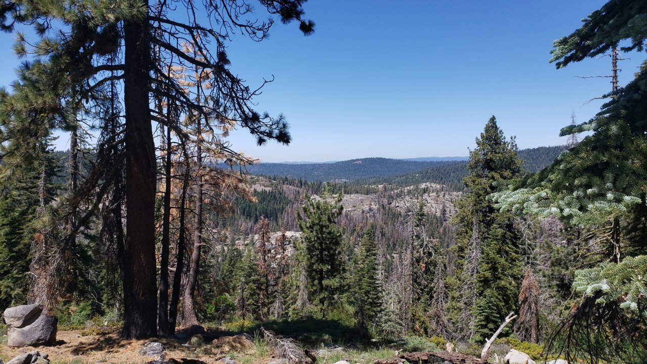 20190804_130258.jpg