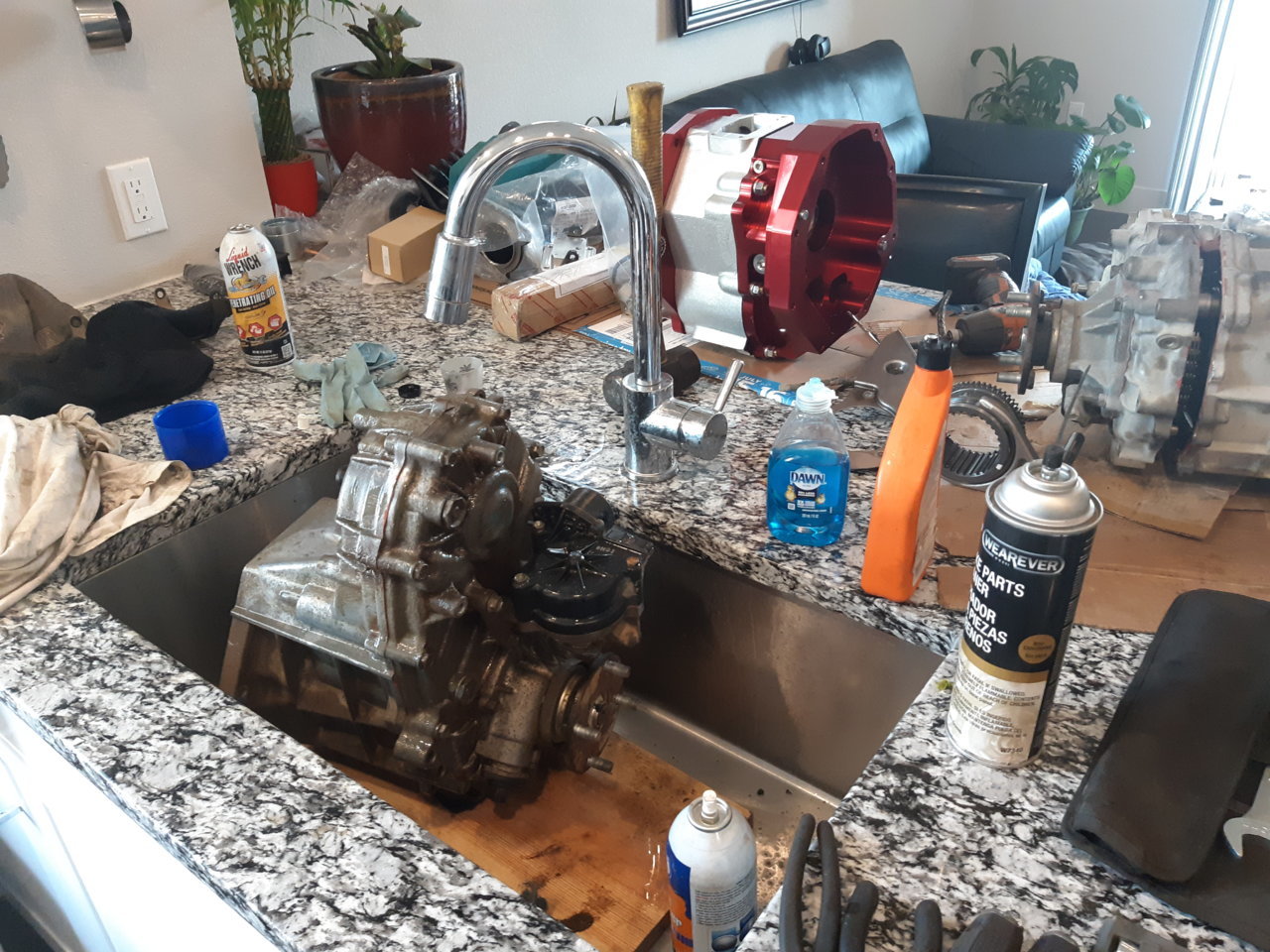 20190804_141345.jpg