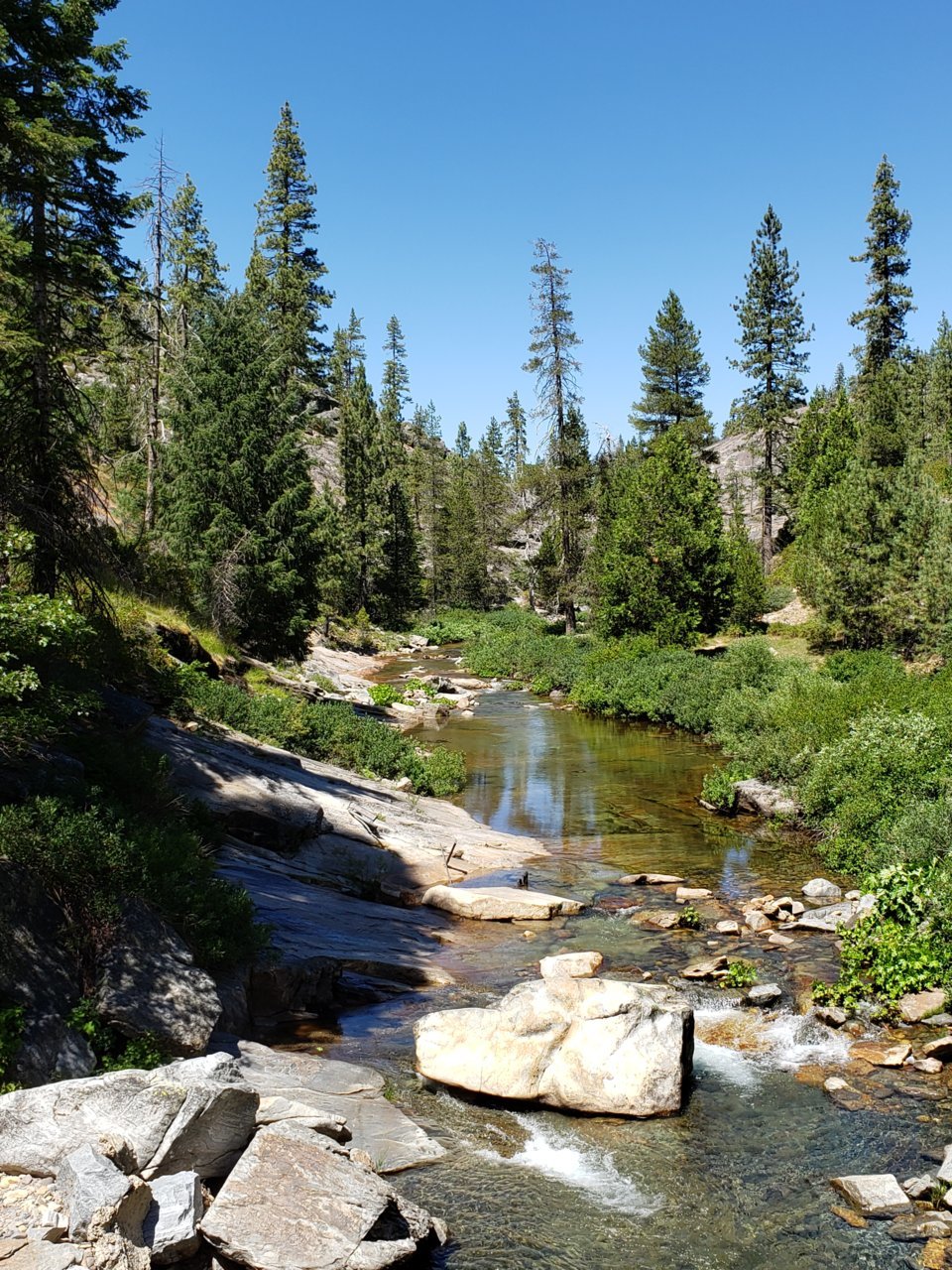 20190804_141908.jpg