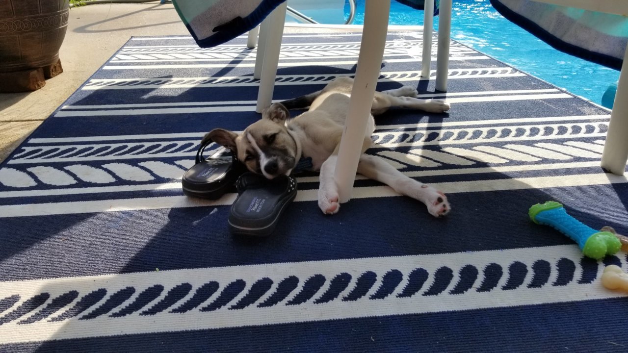 20190804_171154.jpg