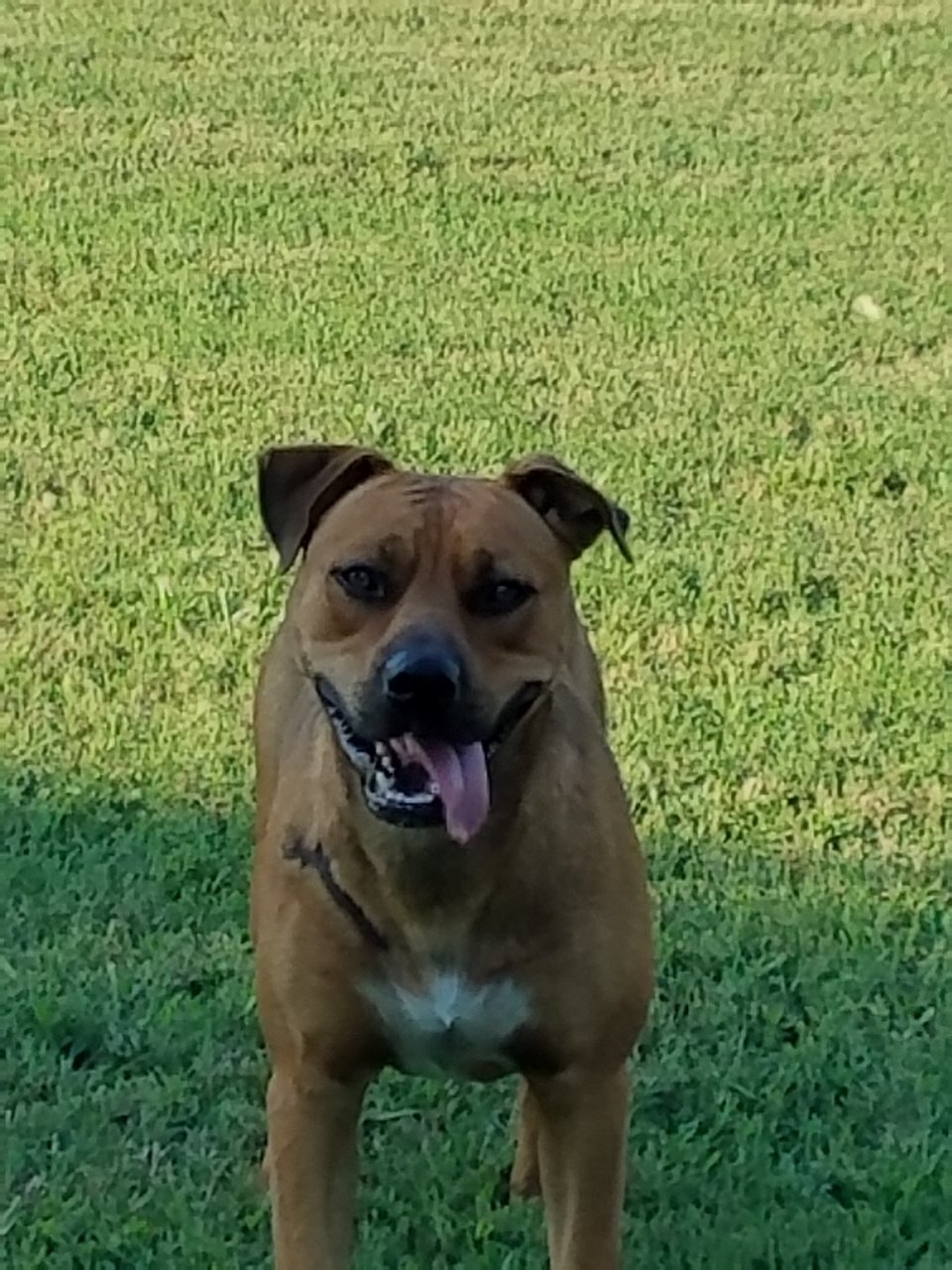 20190804_182818.jpg