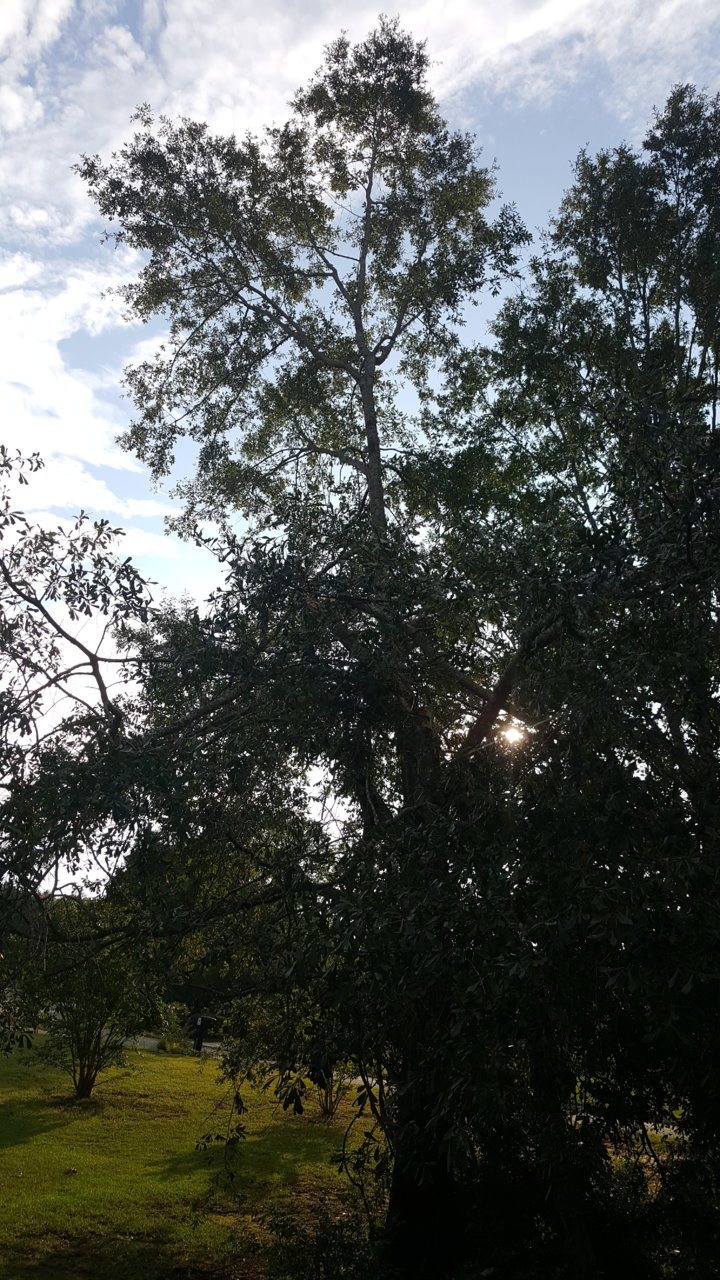 20190804_185649.jpg