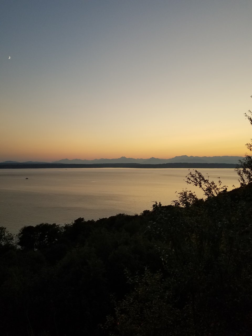 20190804_205121.jpg