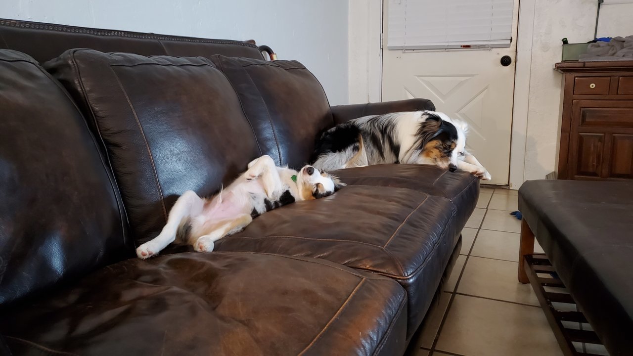 20190804_224603.jpg