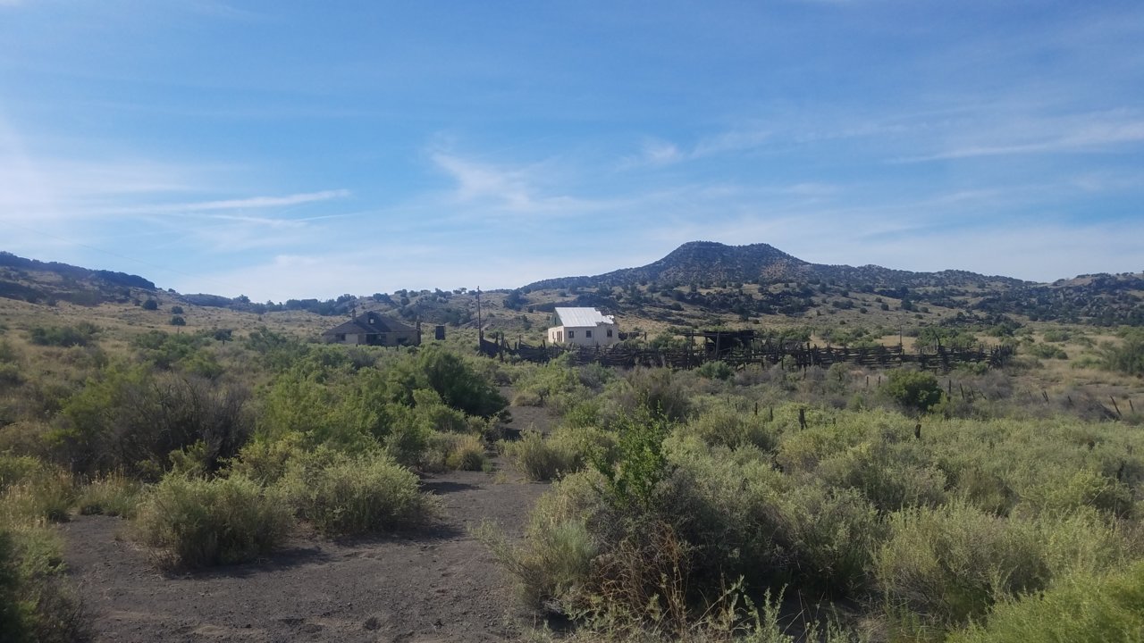 20190805_085047.jpg