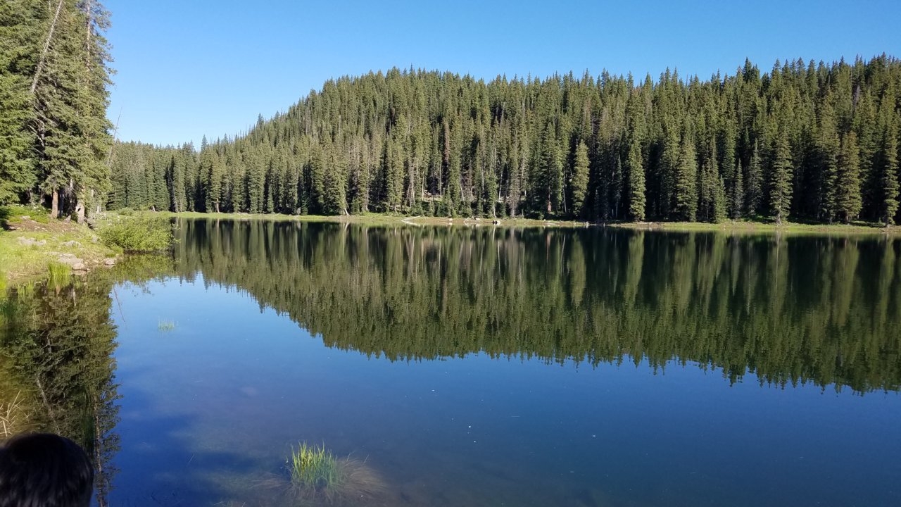 20190805_090436.jpg